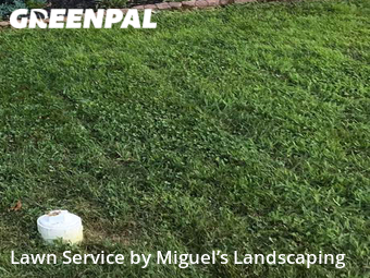 Lawn Service nearby Bowie, MD, 