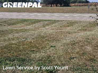 Lawn Mow nearby Freeport, IL, 