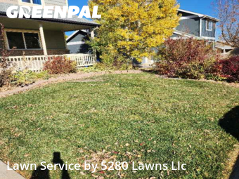 Yard Care Services in Loveland, 80538, Yard Cutting by 5280 Lawns Llc , work completed in Nov , 2025