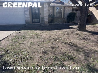 Grass Cutin San Antonio,78217,Lawn Maintenance by Texas Lawn Care, work completed in Jan , 2026