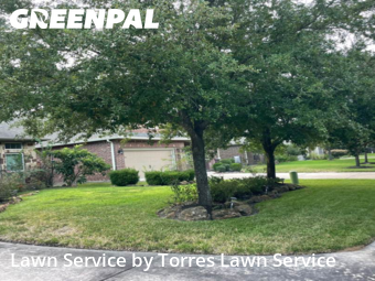 Lawn Mow nearby Porter, TX, 