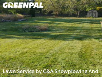 Property Maintenance in Streamwood, 60107, Backyard Mowing by C&A Snowplowing And , work completed in Nov , 2025