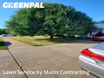 Lawn Maintenance nearby Lexington, KY, 