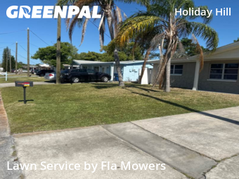 Lawn Cutting nearby Port Richey, FL, 