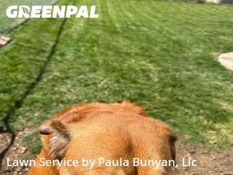 Lawn Service nearby Papillion, NE, 