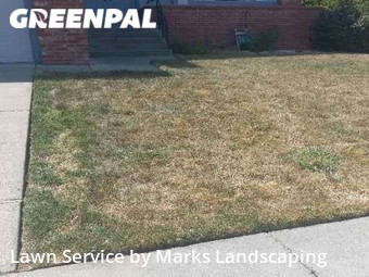 Grass Cut nearby Fairfield, CA, 