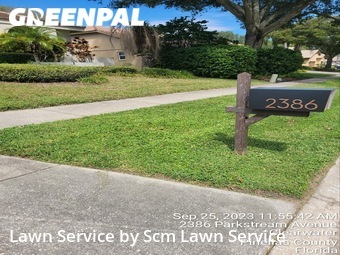 Lawn Cut nearby Clearwater, FL, 