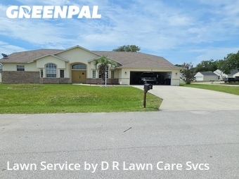 Grass Cut nearby Palm Coast, FL, 