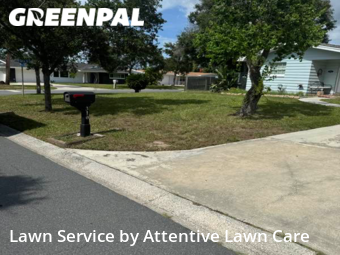 Yard Cutting nearby Largo, FL, 