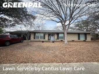 Grass Cut nearby San Antonio, TX, 