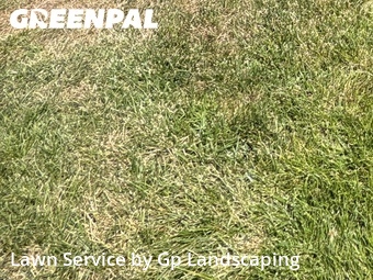 Grass Cutting nearby Indian Land, NC, 