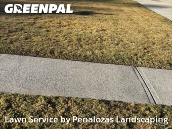 Lawn Care nearby Lawrenceville, GA, 