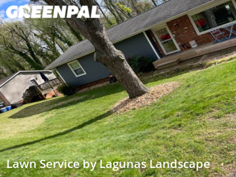 Lawn Mow nearby Fredericksburg, VA, 