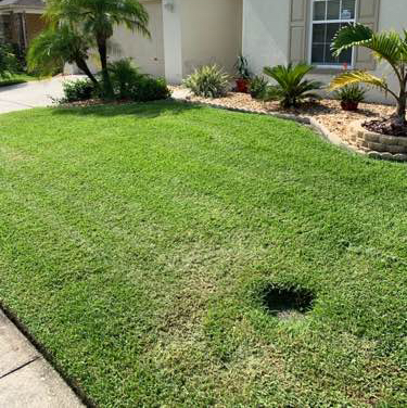 Lawn Care Service in Kissimmee, FL, 34741