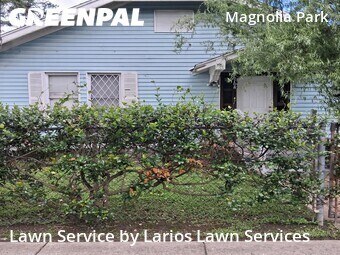 Grass Cutting nearby Houston, TX, 