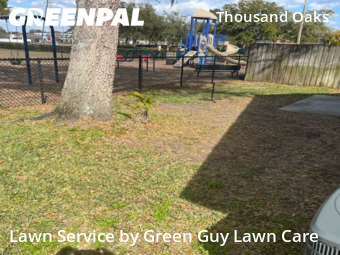 Grass Cut nearby Trinity, FL, 