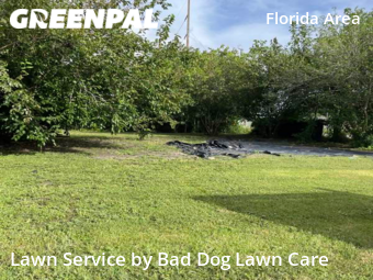 Lawn Cutting nearby New Orleans, LA, 