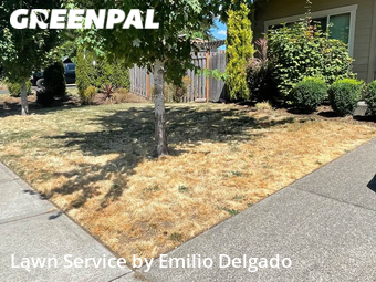 Lawn Service nearby Milwaukie, OR, 