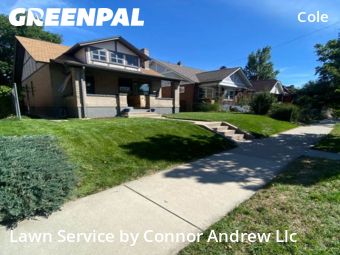 Grass Cutting nearby Denver, CO, 