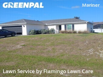 Yard Cutting nearby Cape Coral, FL, 