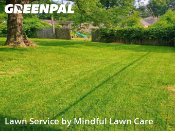 Lawn Mow nearby Ypsilanti, MI, 