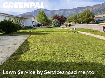 Lawn Cutting nearby Ogden, VA, 