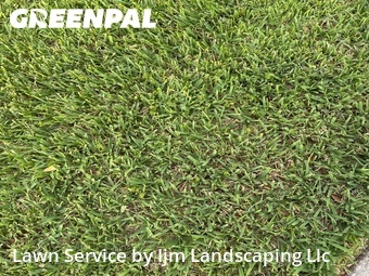 Yard Mowing nearby Ocoee, FL, 