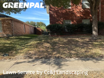 Grass Cutting nearby Mc Kinney, TX, 