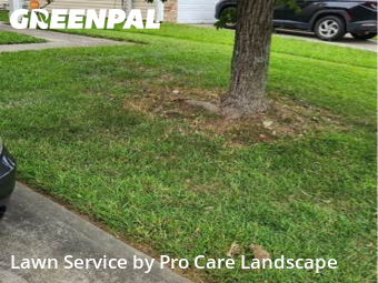 Lawn Mow nearby Concord, NC, 