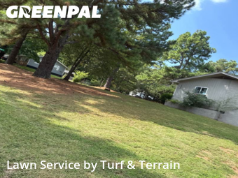 Grass Services in Fayetteville, 72703, Turf Services by Turf & Terrain, work completed in Nov , 2025