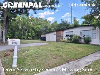 Lawn Cut nearby Tampa, FL, 