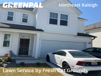 Yard Cutting nearby Raleigh, NC, 