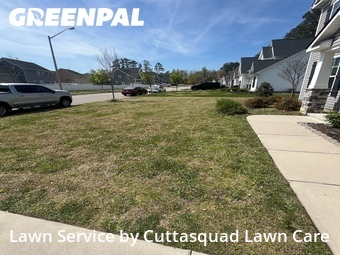 Lawn Cut nearby Virginia Beach, VA, 