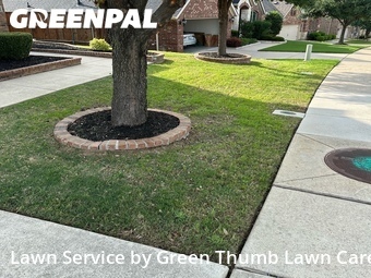 Grass Cuttingin Roanoke,76262,Lawn Care by Green Thumb Lawn Care, work completed in Jun , 2026