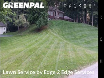 Grass Cut nearby Grand Rapids, MI, 