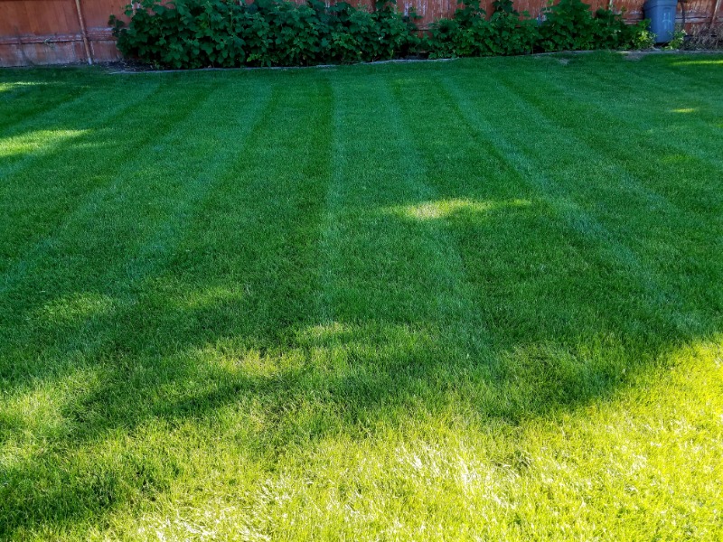 the-yard-cutting-businesses-in-Twin Falls-ID