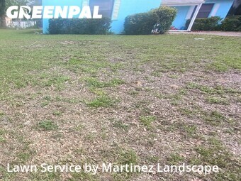 Lawn Cut nearby Clermont, FL, 