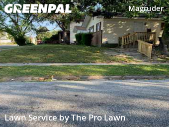 Grass Cut nearby Newport News, VA, 