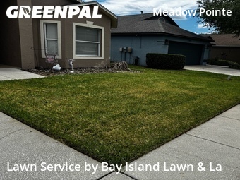 Grass Cutting nearby Wesley Chapel, FL, 