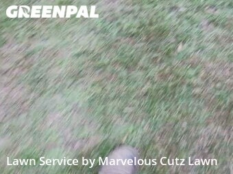 Lawn Maintenance nearby Lexington, SC, 