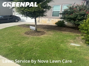 Lawn mowed in Hutto, 78634
