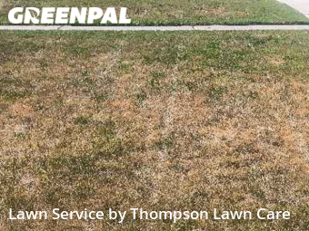 Lawn Service nearby Sparks, NV, 