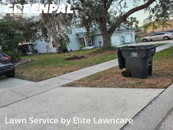 Lawn Cut nearby Tampa, FL, 