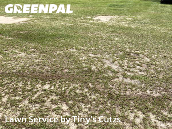 Lawn Cutting nearby Valdosta, GA, 