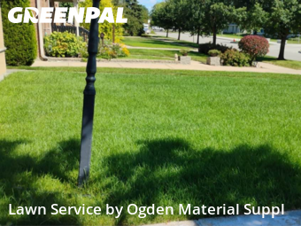 Yard Cutting nearby Elmhurst, IL, 