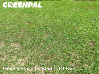 Lawn Care Service nearby Atlanta, GA, 