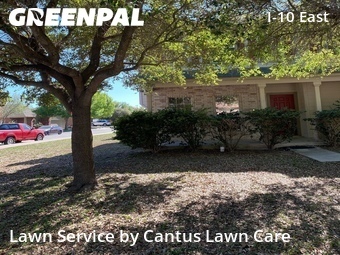 Lawn Service nearby Converse, TX, 