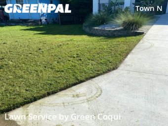 Grass Cutting nearby Tampa, FL, 