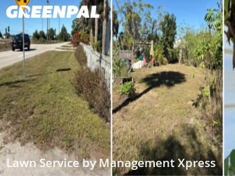 Lawn mowed in Punta Gorda, 33955
