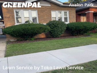 Lawn Mowing Service nearby Chicago, IN, 